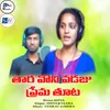 About TAARA VONI VODAJU PREMA TUTA Song